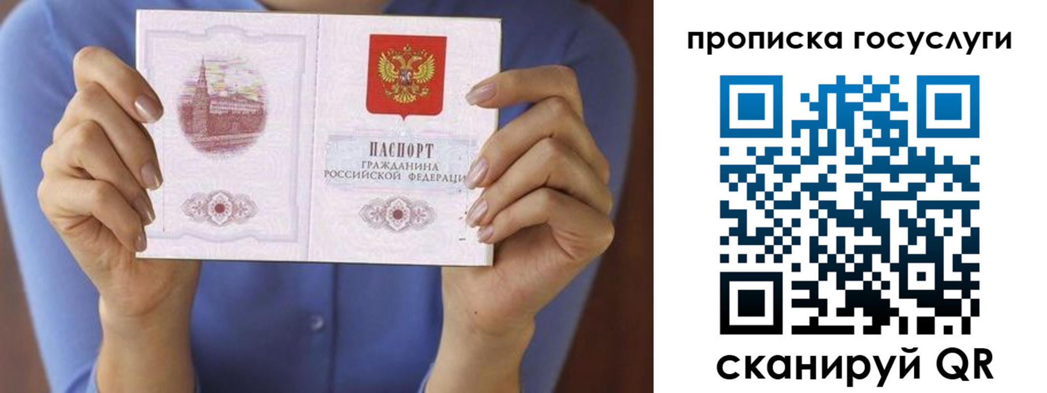 временная регистрация поиск в Острогожске